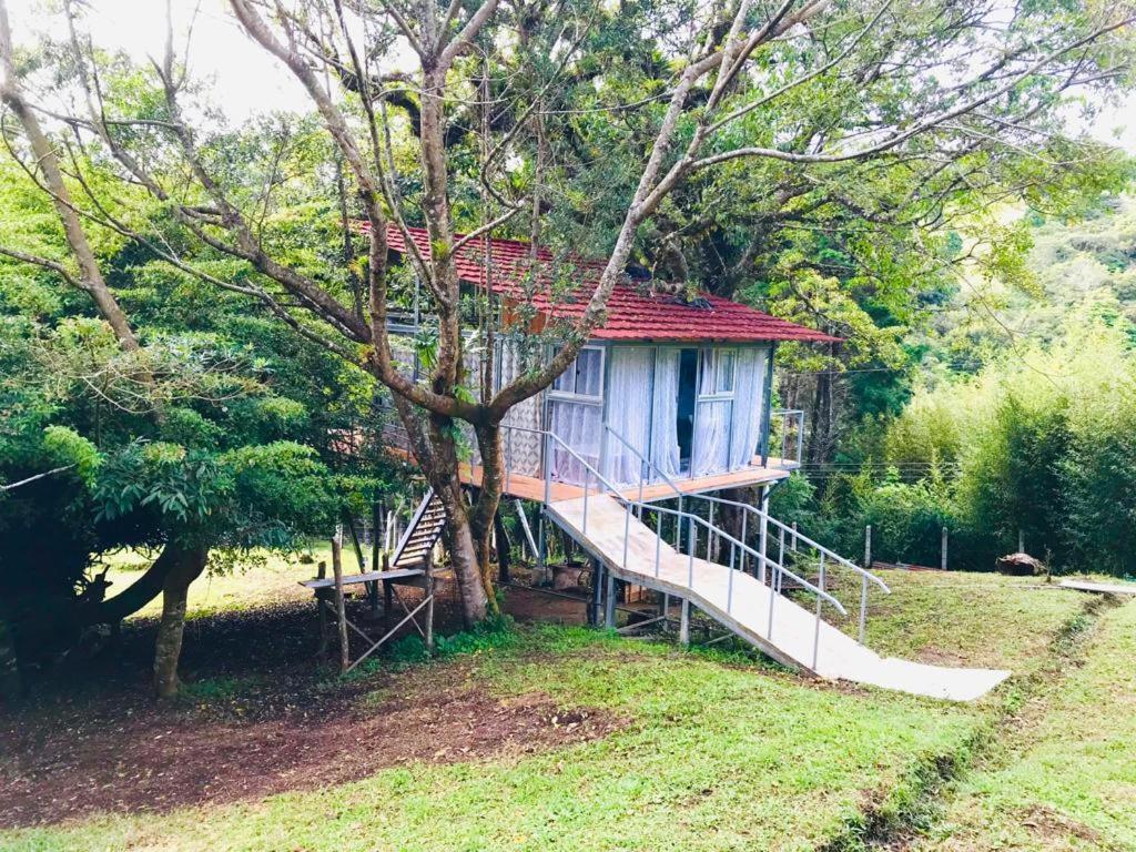 Cabana Treehouse Mountain View San Isidro  Exterior foto